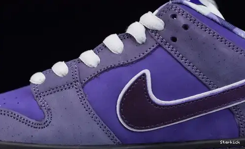 Concepts Purple SB Nike Low Lobster Dunk BV1310-555 0707